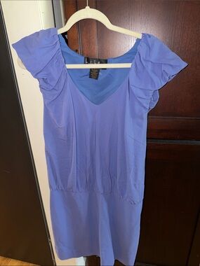 Nicole Miller Collection ~Silk V-Neck Ruffle Sleeve Tunic in Periwinkle Blue Sm